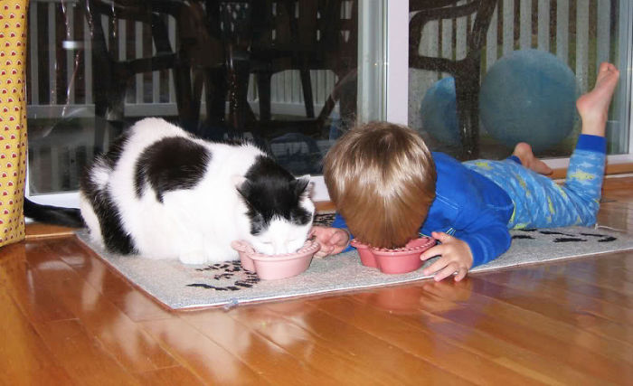 Eating With The Cat