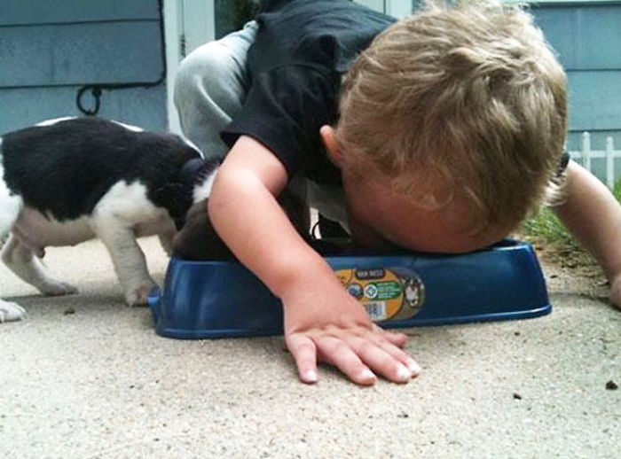 Puppy And Kid