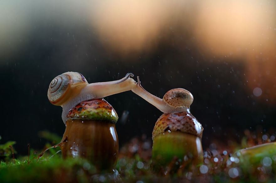 Warm And Fresh Macro Photography You Have Never Seen Before By Vadim Trunov