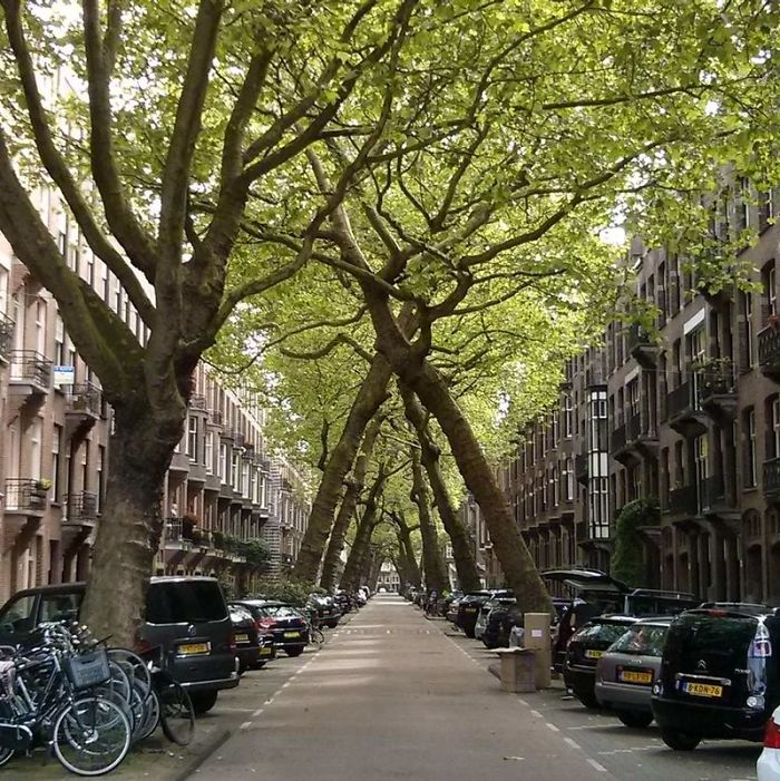 Lomanstraat Amsterdam, The Netherlands