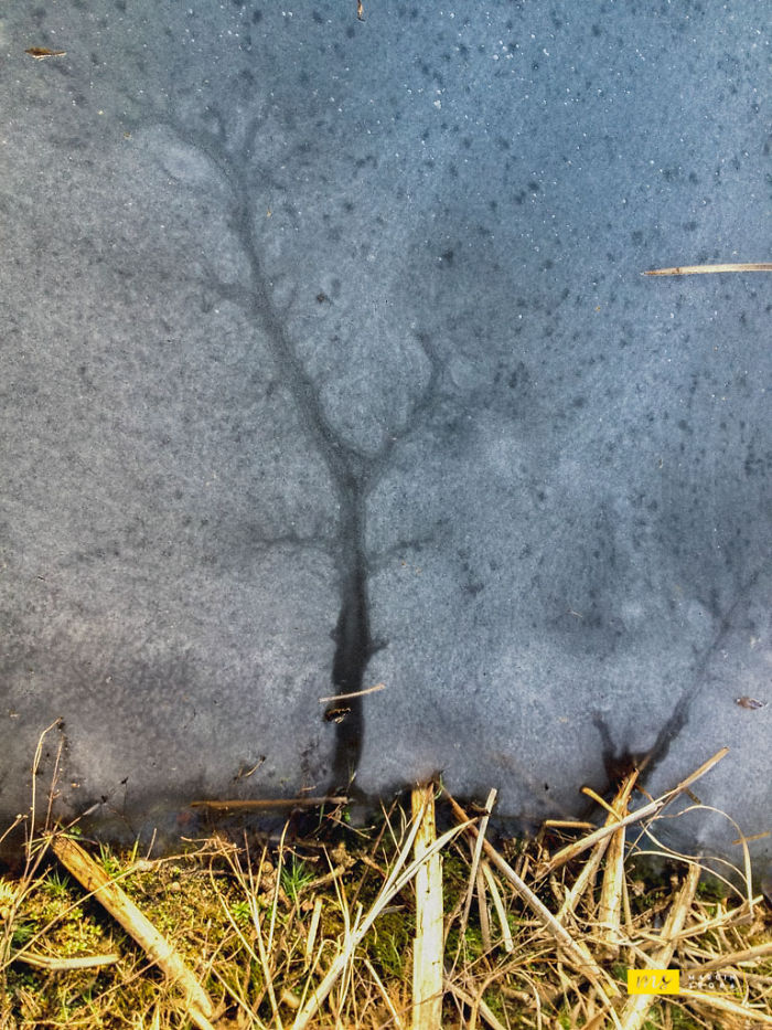 Mother Nature Paintings
