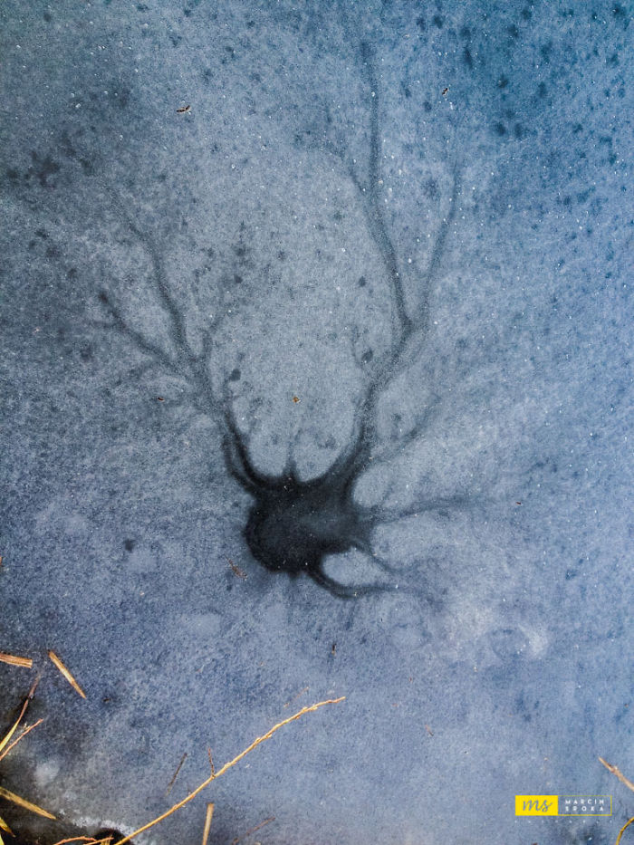 Mother Nature Paintings
