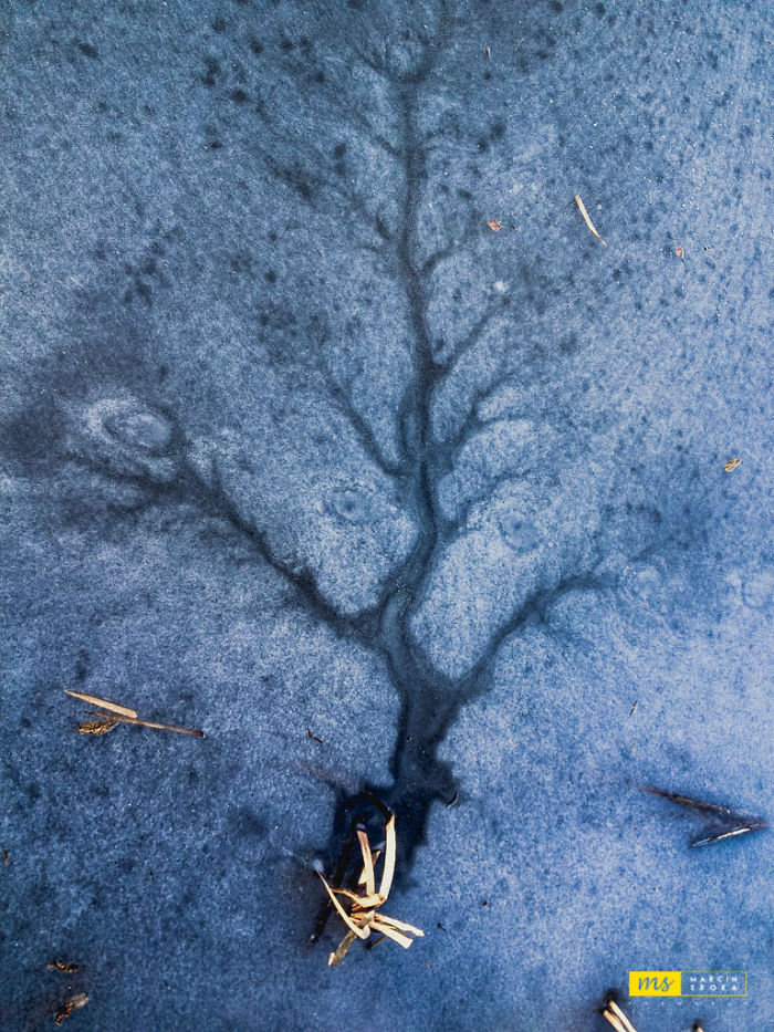 Mother Nature Paintings