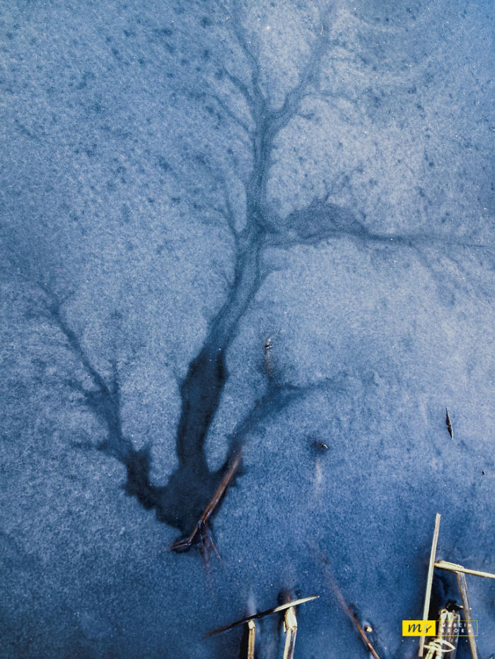 Mother Nature Paintings
