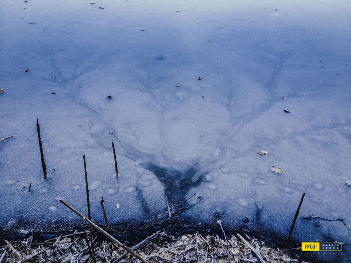 Mother Nature Paintings