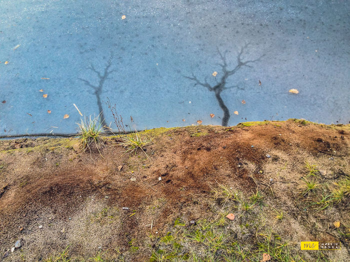 Mother Nature Paintings