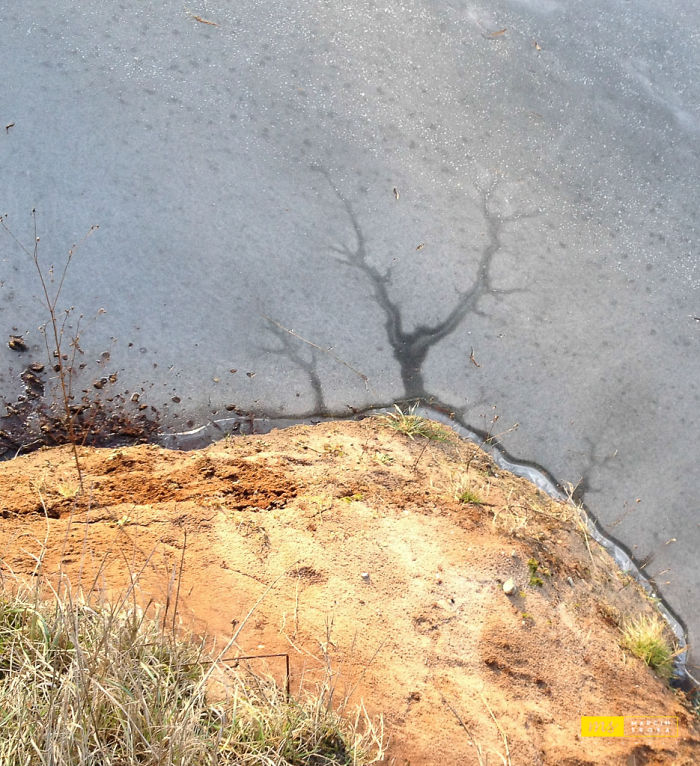Mother Nature Paintings