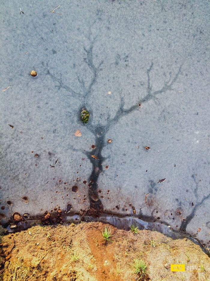 Mother Nature Paintings