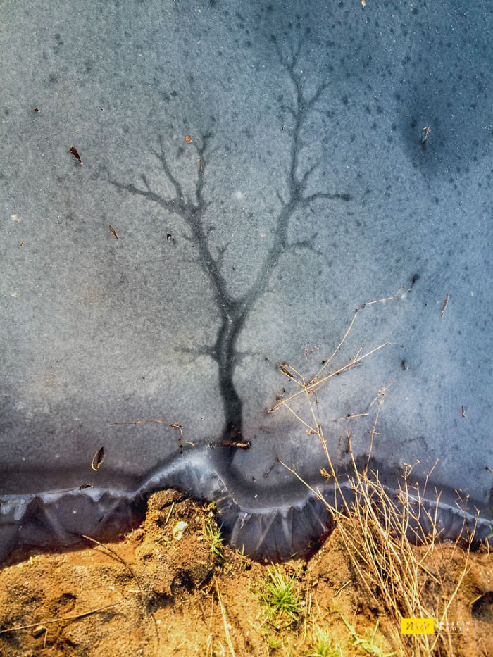 Mother Nature Paintings