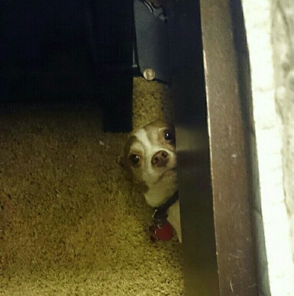 Did You Look Under The Bed Yet?