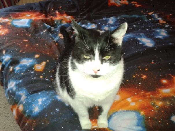 The Galaxy Belongs To Dr Snuggles