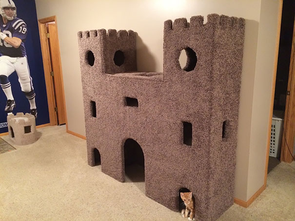 Kitty Castle