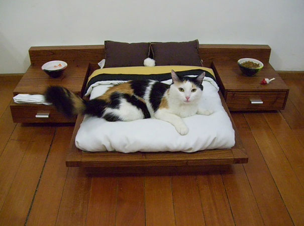 Mini Bedroom For Cat