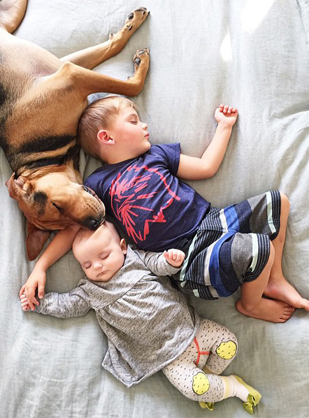 Famous Napping Boy And Puppy Duo Gets A New Nap Friend - A Baby Sister