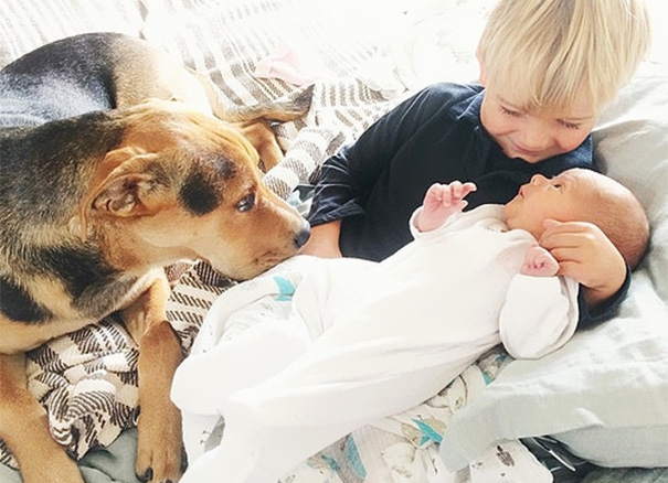 Famous Napping Boy And Puppy Duo Gets A New Nap Friend - A Baby Sister