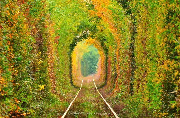 Tunnel Of Love, Romania, Caras-severin