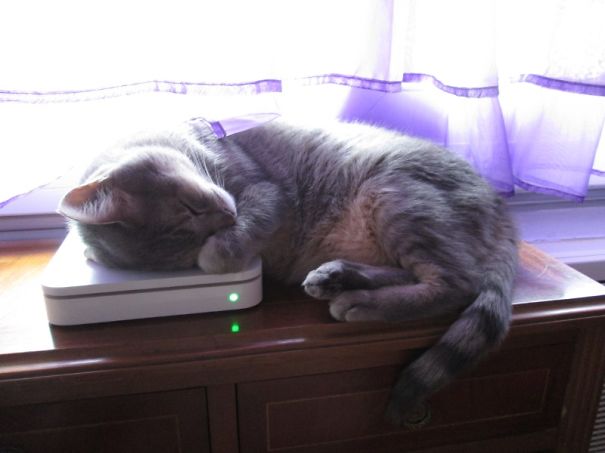 Who Needs A Cushion When You Have A Wifi Modem?