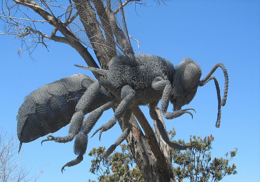 Ant Wire Sculpture