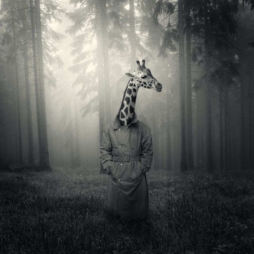 Dreams: Surreal Photography By Polish Artist Michał Giedrojć