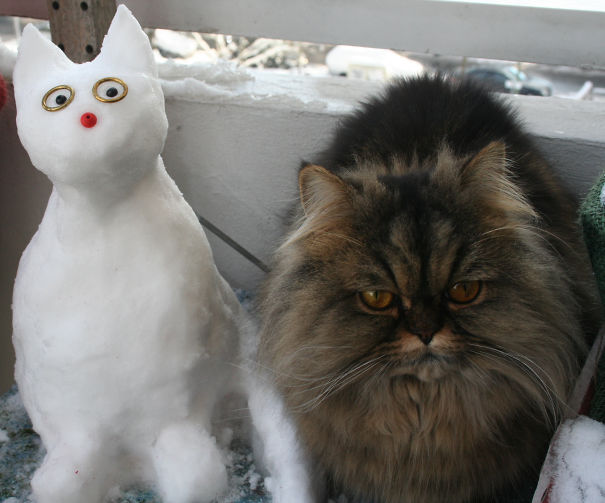 A Few Years Later His Successor Got Her Very Own Snow Pal