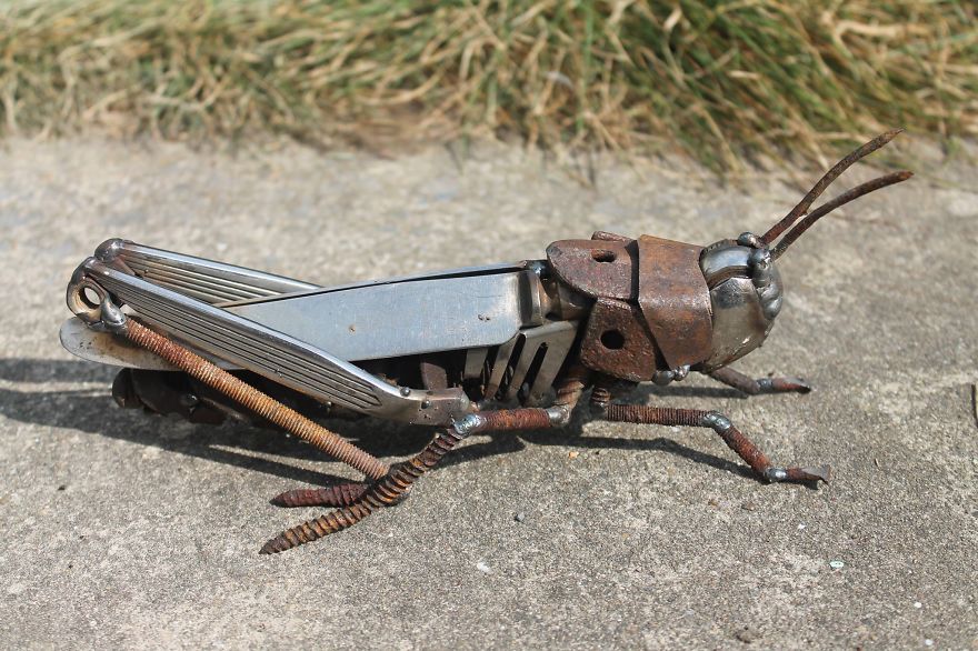 Scrap Metal Field Grasshopper