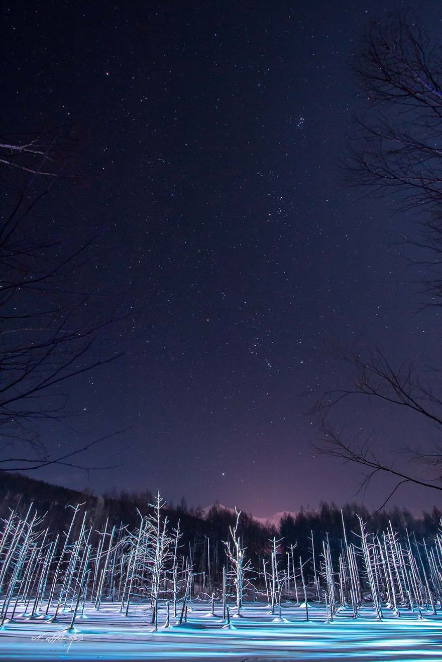 Orion And Sirius In Blue Pond