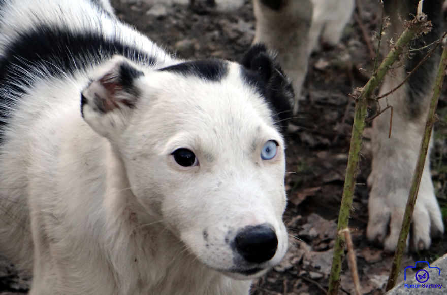 Different Eyes
