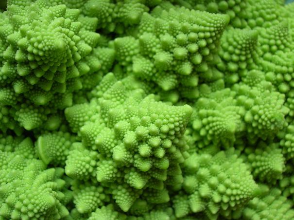A Fractal Called Romanesco Broccoli