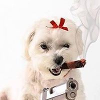 diana_serban_148 avatar