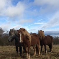 laure_jansen_92 avatar