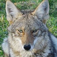 pytkajedrzej avatar