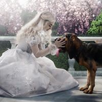 natalia_hdez_10 avatar