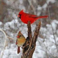 sue_cooke_399 avatar