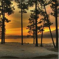 nedra_leggett_5 avatar