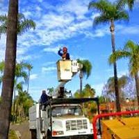 DewWorktrademark avatar