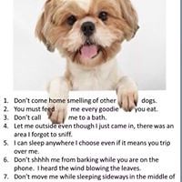 marilyn_cripe_1 avatar