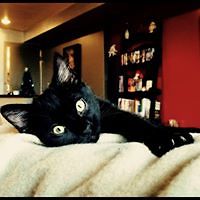 cynthia_xerogianes avatar