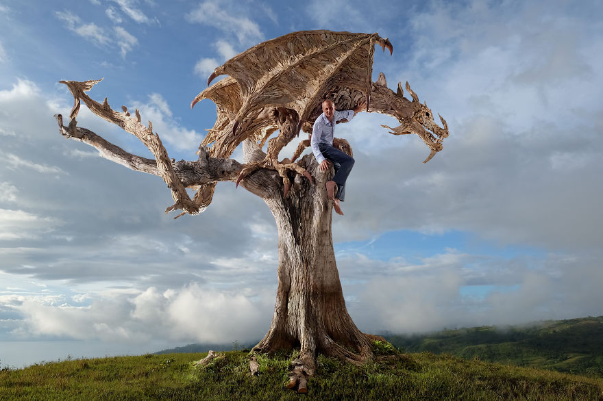 Breathtaking Driftwood Wyvern (dragon) By Sculptor James Doran-webb