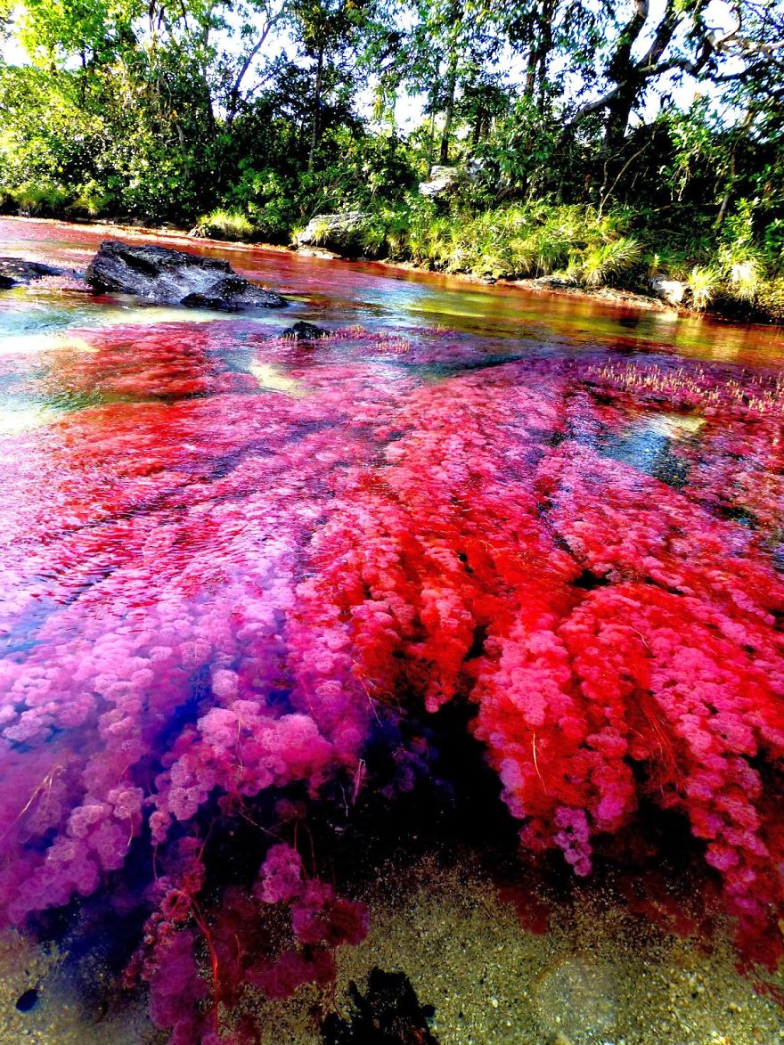 Ca&ntilde;o Cristales River
