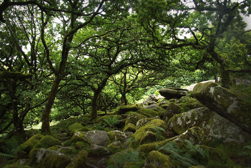 Dartmoor National Park, Devon, England.