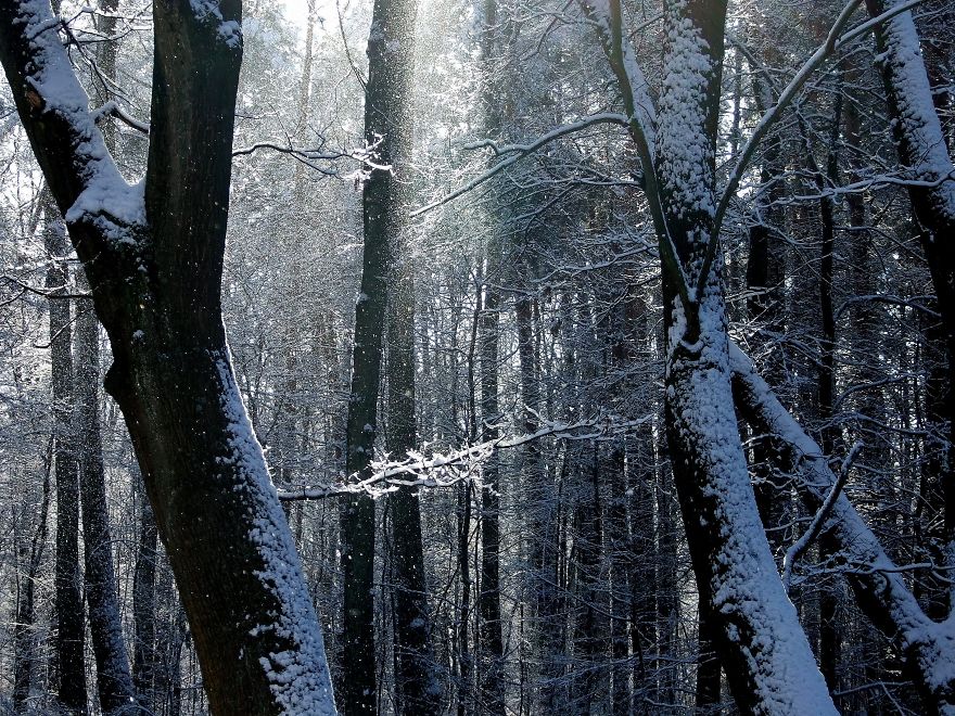 Get Out From Your Warm Pants And Cosy Room And Go Admire The Winter Magic!