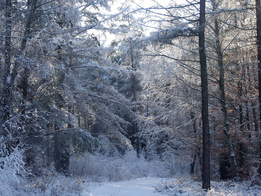 Get Out From Your Warm Pants And Cosy Room And Go Admire The Winter Magic!