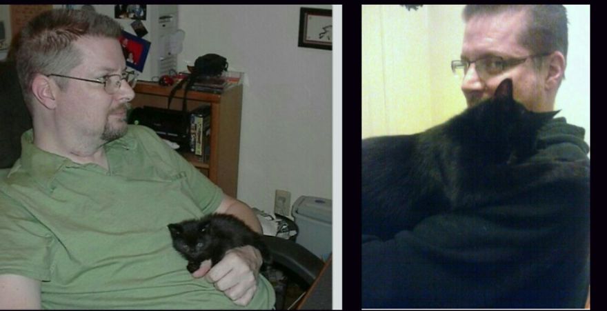 Erik And Ramses The Rescue Kitten At 12 Oz. And 7 Years Later At 7 Pounds!