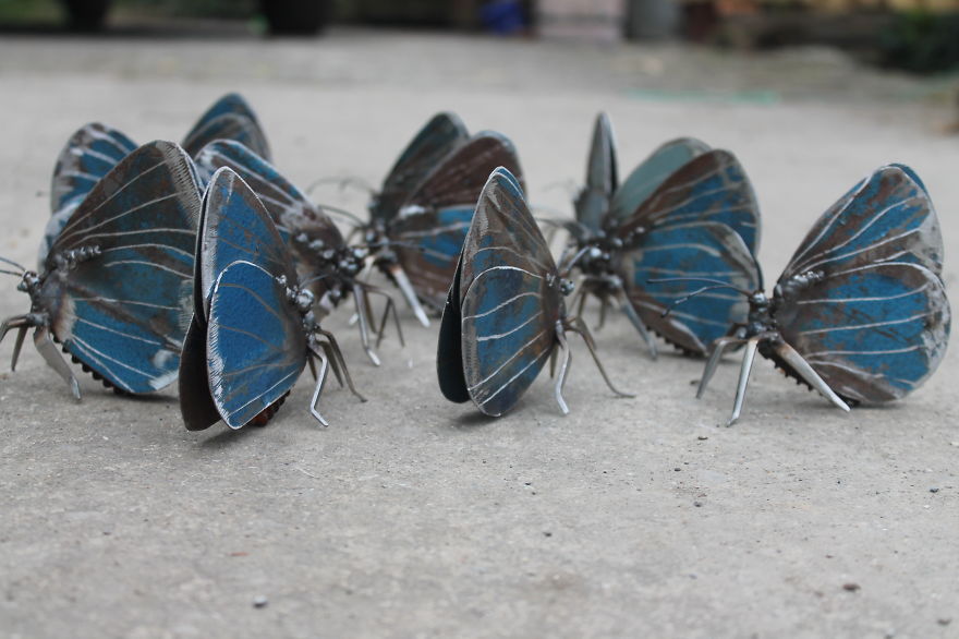 Cluster Of Scrap Metal Holly Blue Butterflies