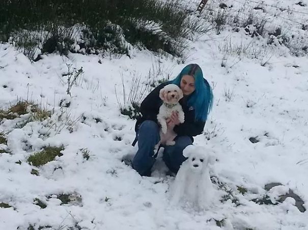 Poppy Dog