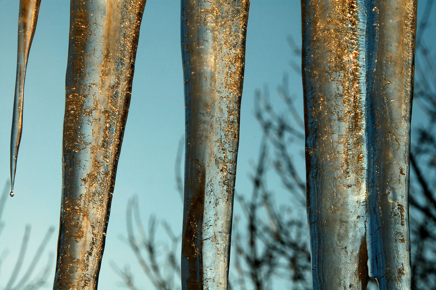 Icicle Scapes, From My Window, Michigan