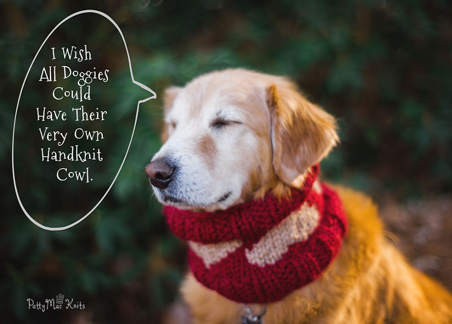Valentine's Day Knitting For Dogs