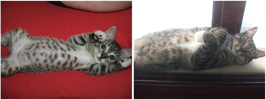 Piaf With 2 Months And A Year And A Half :)