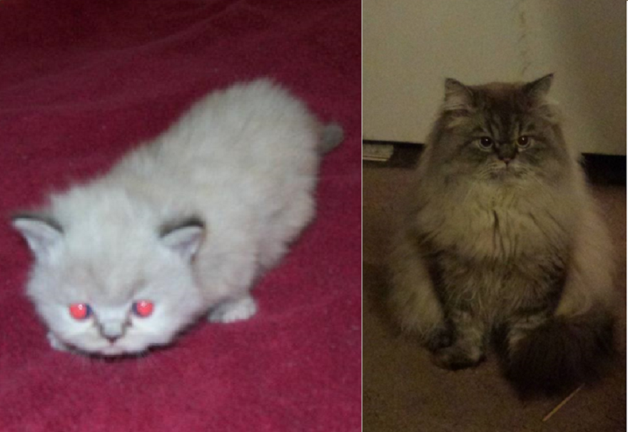 My Angel Boy! At 1 Month Old (l) And 3 Years Old (r)