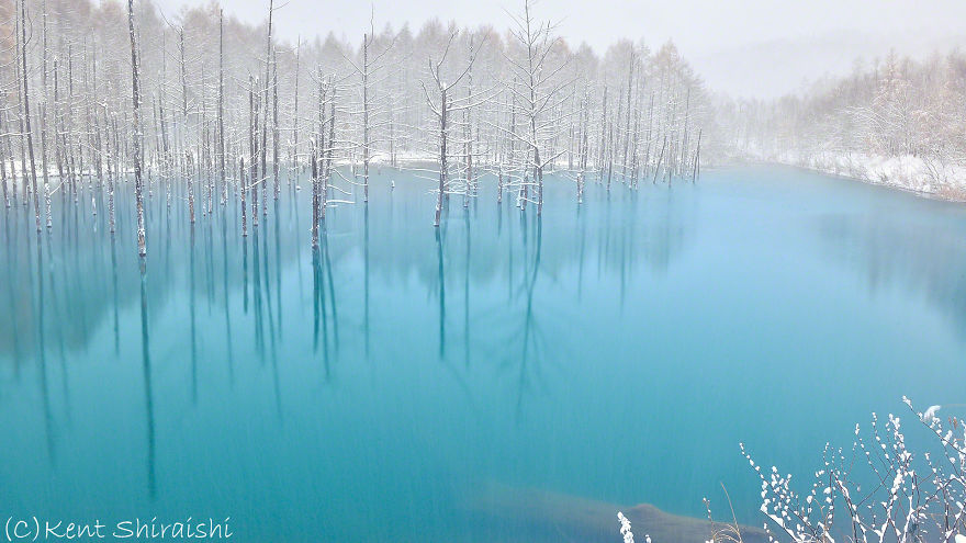 I Live In Hokkaido And Photograph This Magnificent Pond Every Season